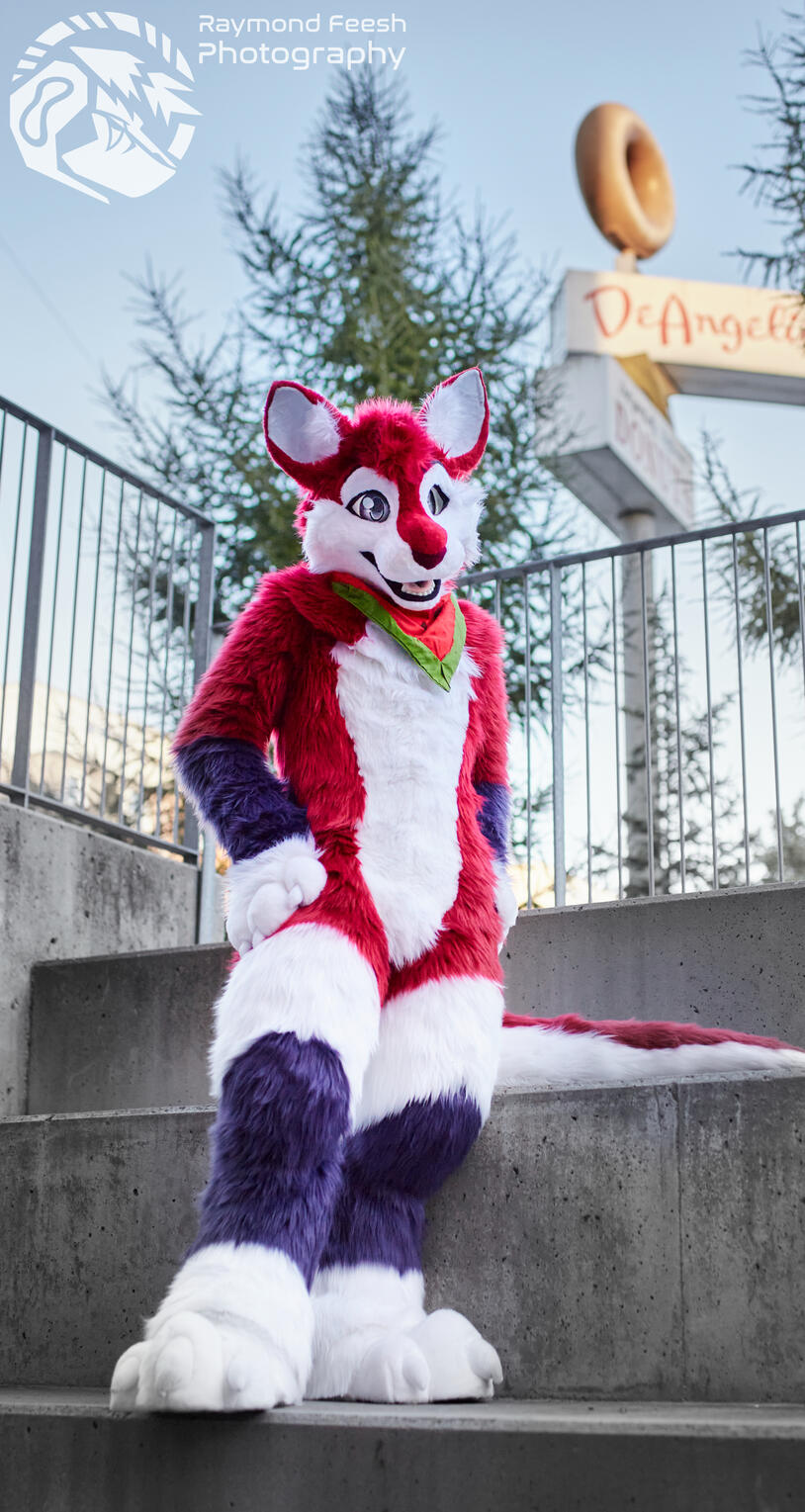 Zicco the Roo