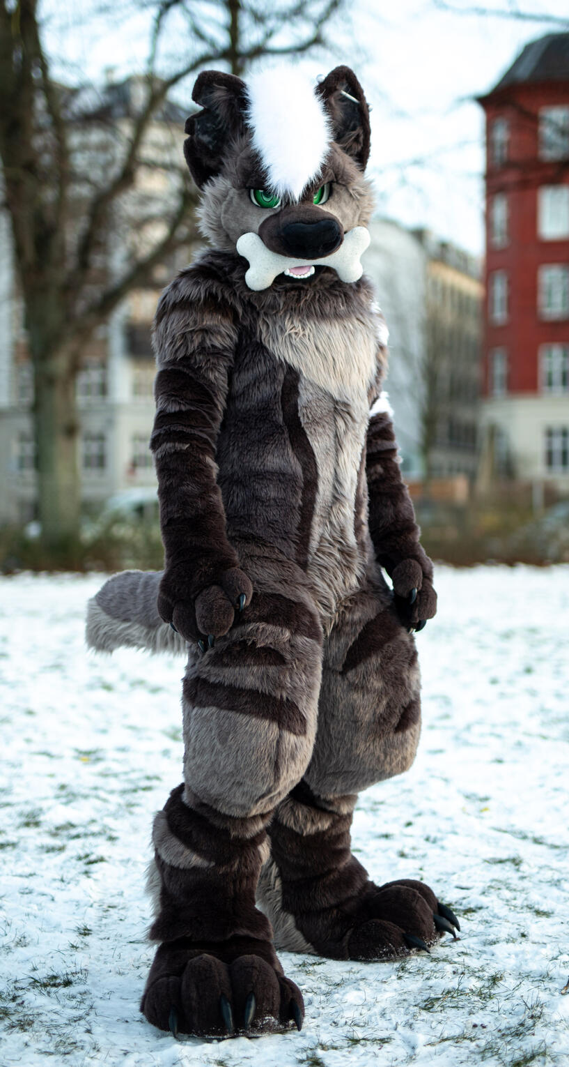 Espresso the Hyena