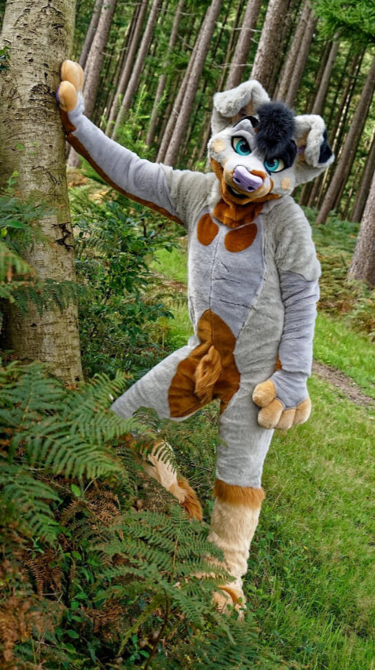 Takahiro The Doberman