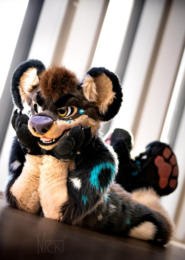 Kawa the Hyena