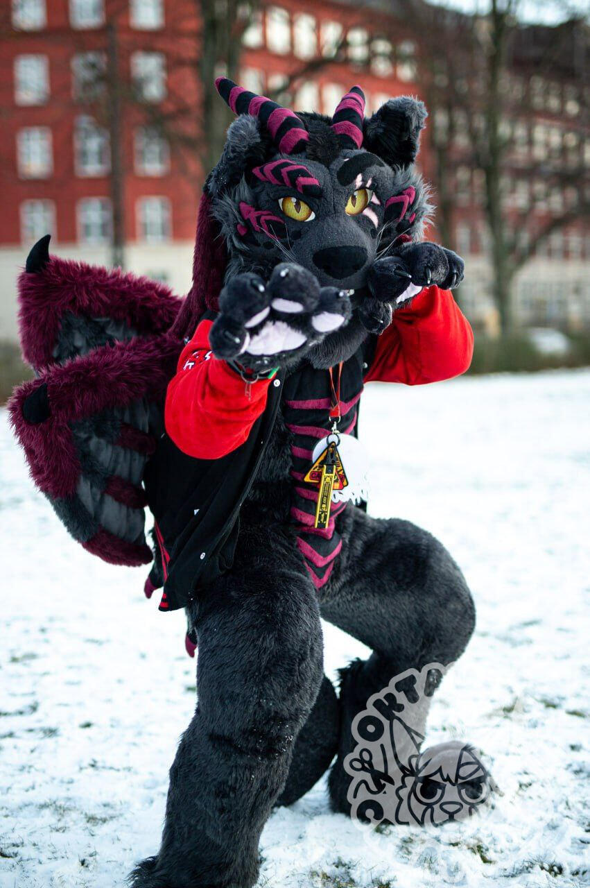 Drago the Cat Dragon