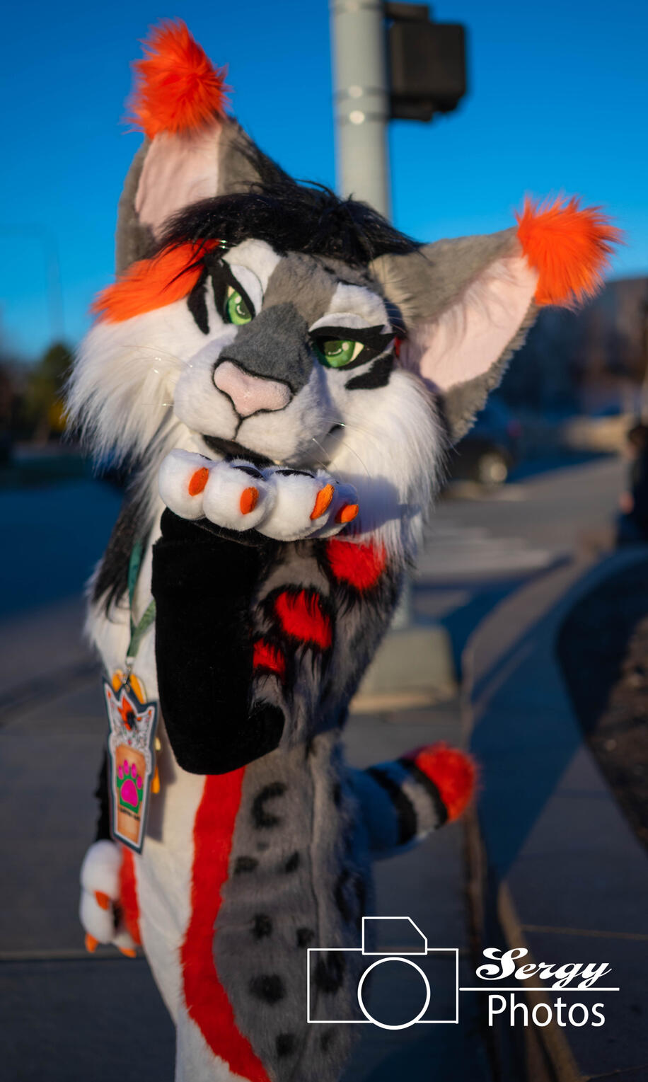 Unity the Lynx