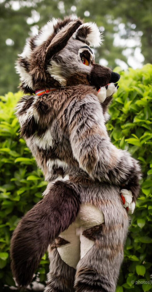 Jaffa the Hyena