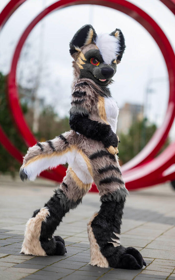 Kenya the Hyena