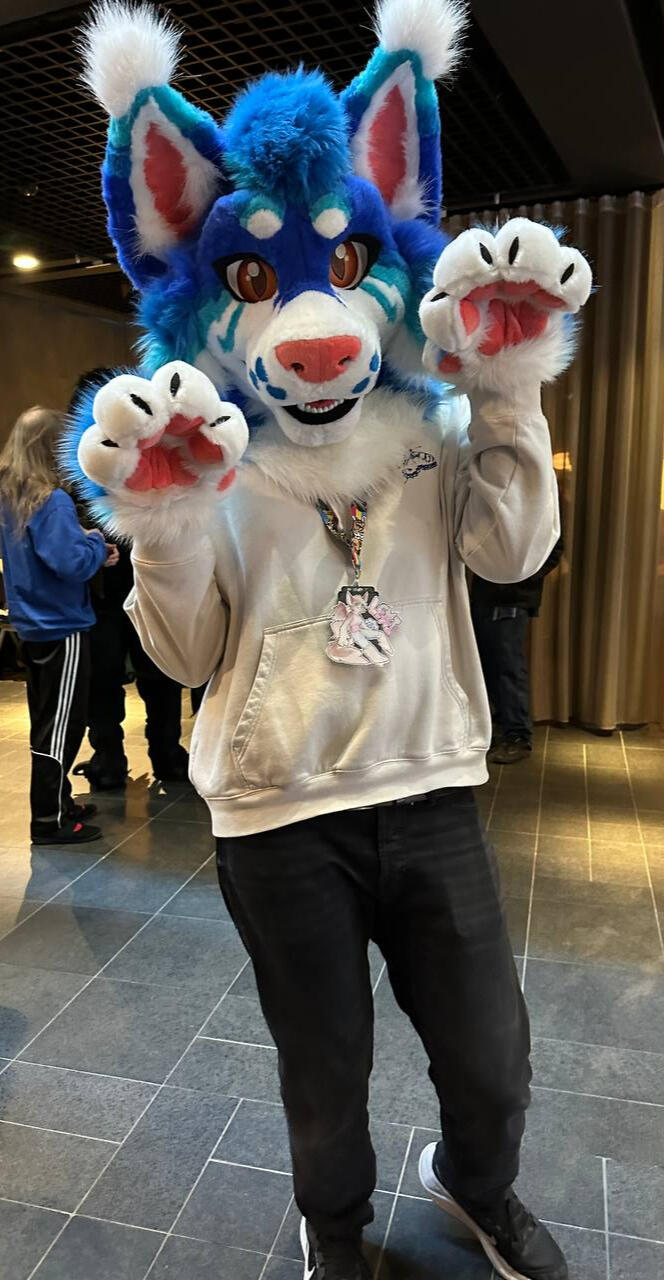 Lynxie the Lynx