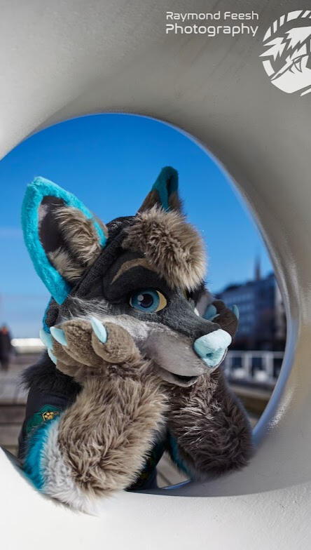 Slide the Wolf
