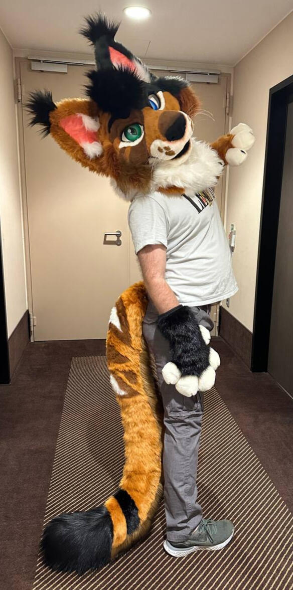 Cereal the Mainecoon