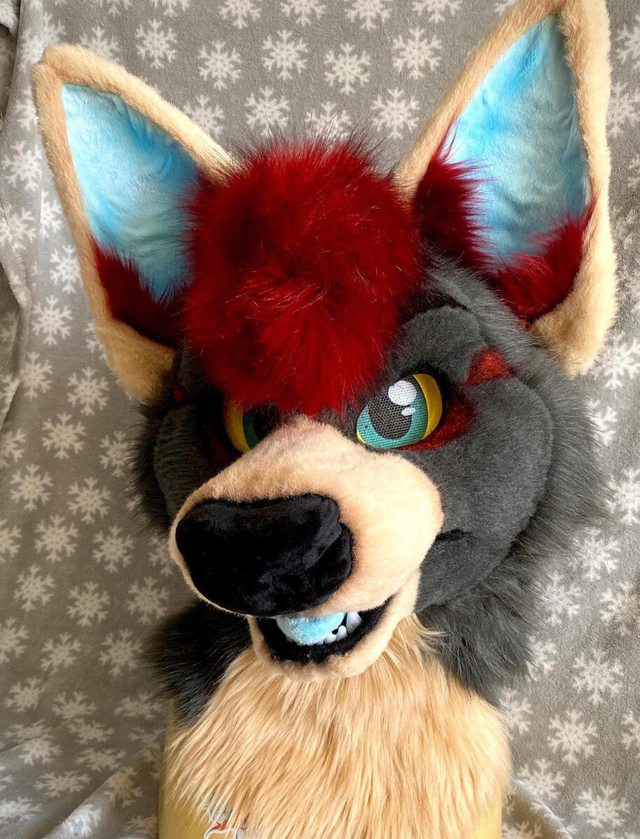 Kaito the Hyena