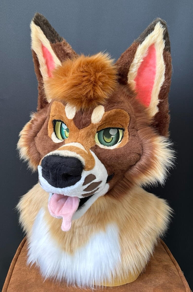 Premade Coyote