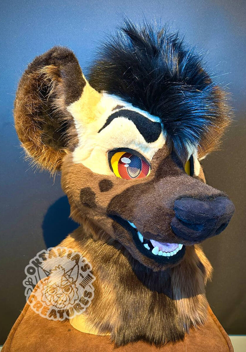 Tiramisu the Hyena