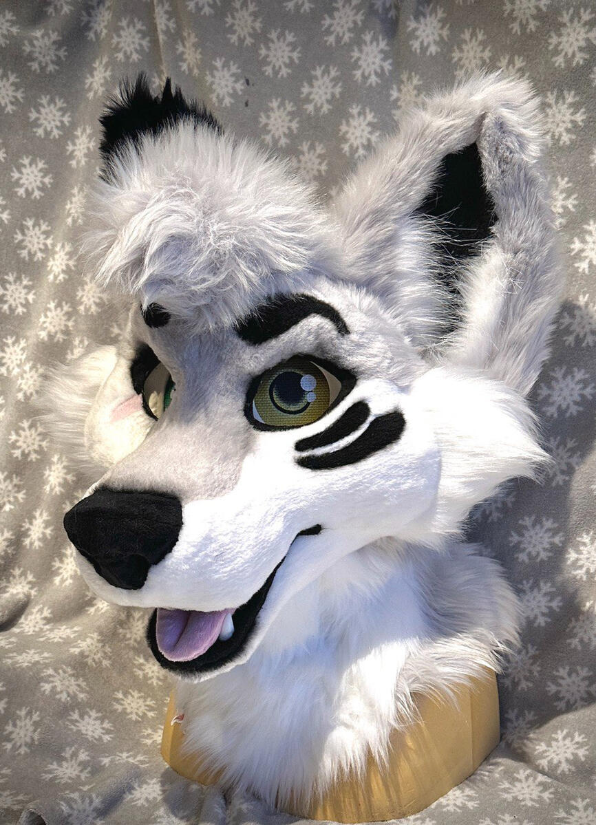 Ame the Wolf