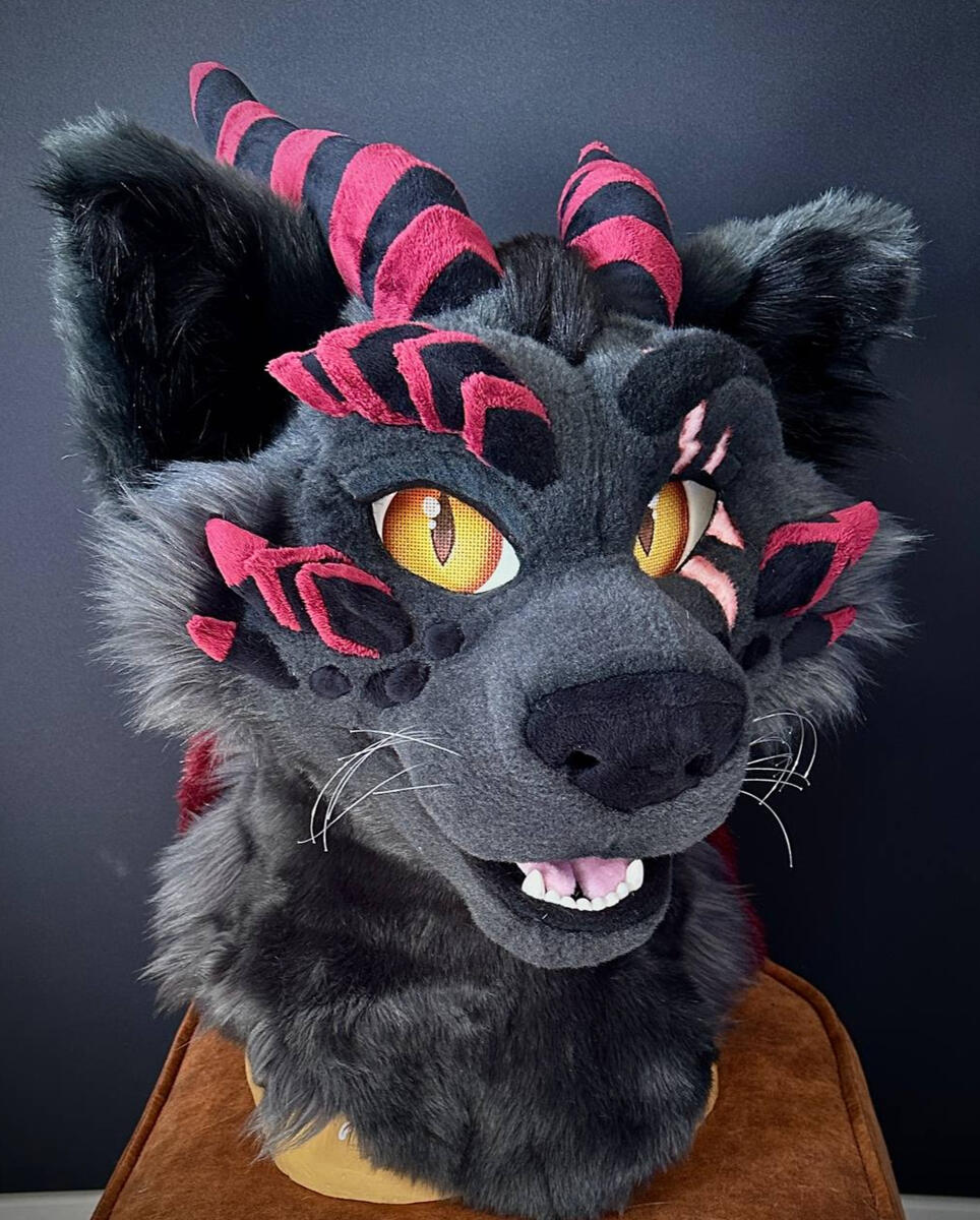 Drago the Dragon/Cat