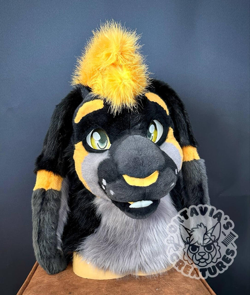 Premade Bunny (Collab w. CritterCreatures)