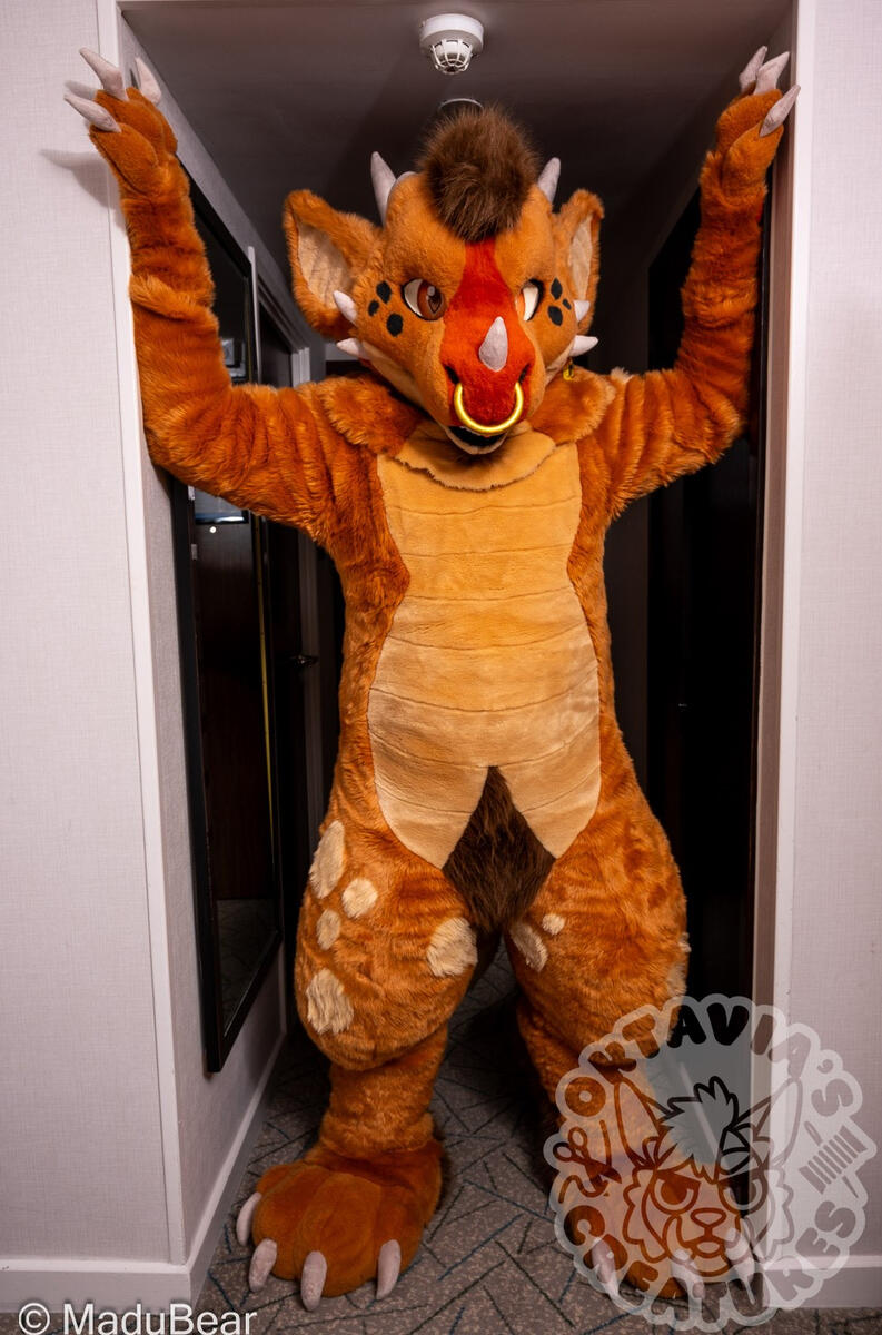 Fullsuit example 1