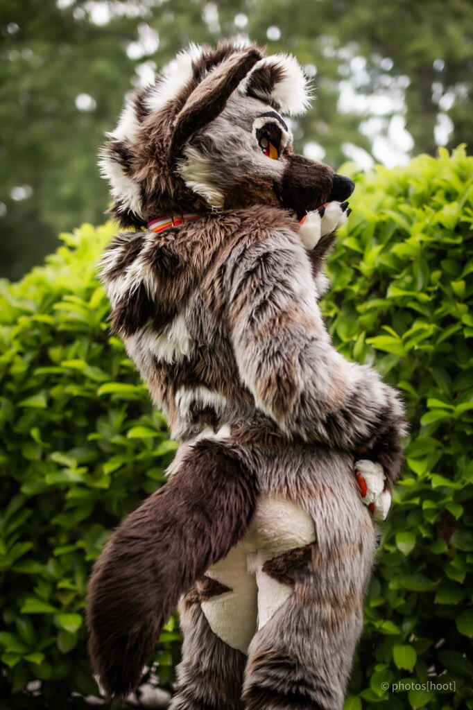 Fullsuit example 2