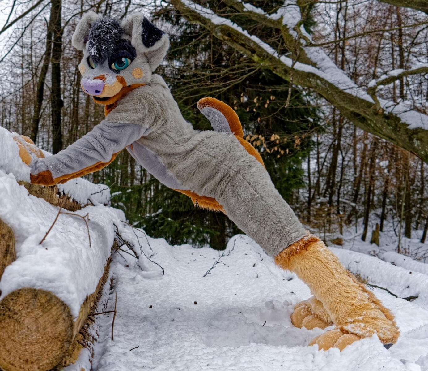 Fullsuit example 3